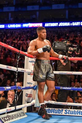 Anthony Joshua beats Gary Cornish O2 Arena 2015