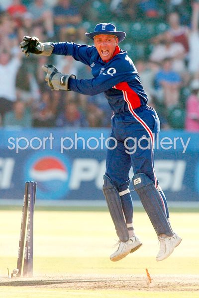 Alec Stewart celebrates