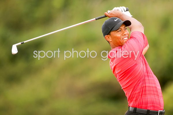 British Open Print | Golf Posters | Tiger Woods