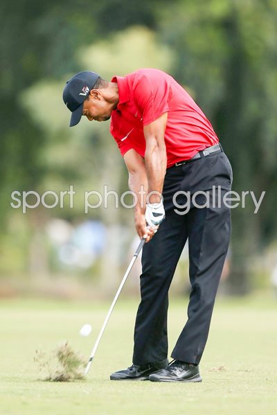 Uspga Tour 2013 Images Golf Posters Tiger Woods