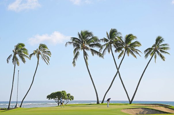 Paul Peterson USA 16th Green Waialae Country Club Sony Open Hawaii 2025