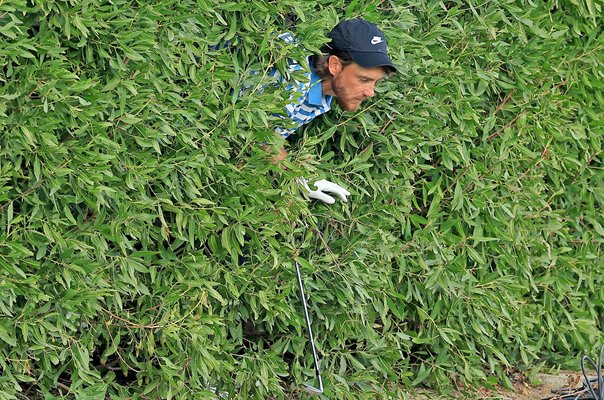 Tommy Fleetwood England in the bushes Dubai Desert Classic Emirates Club 2025