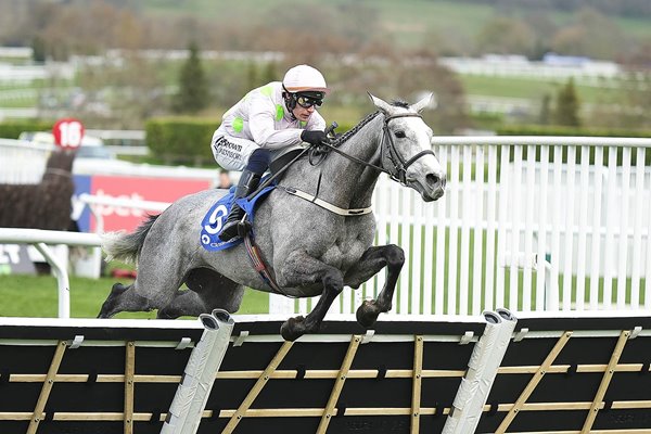 Paul Townend & Lossiemouth win Mares Hurdle Cheltenham Festival 2025