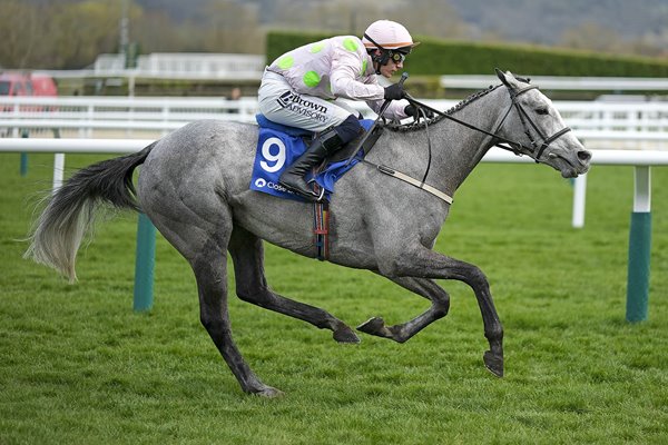 Paul Townend riding Lossiemouth to Mares Hurdle win Cheltenham Festival 2025