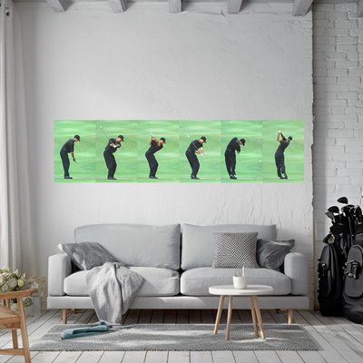 2000 Tiger Woods Swing Sequence