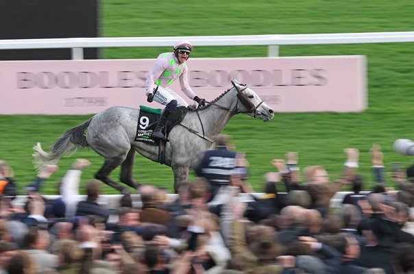 Paul Townend celebrates on Lossiemouth Champion Hurdle Cheltenham Festival 2026