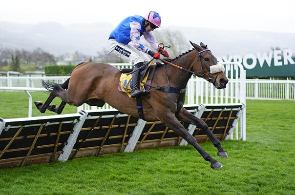 Tom Bellamy on White Noise wins Mares Novices' Hurdle Cheltenham 2026