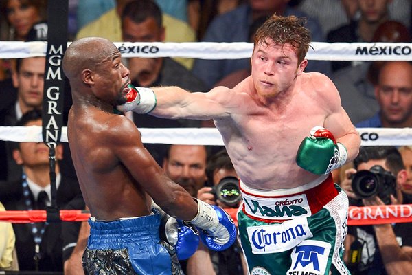 Canelo Alvarez Photos, Posters & Prints | Boxing Photos